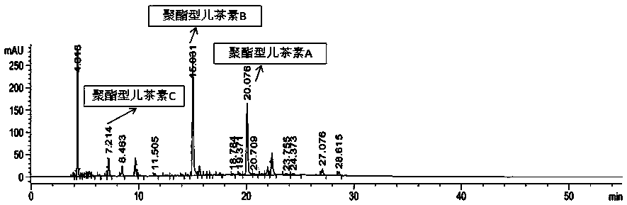 Chemical oxidation efficient synthesis method of theasinensins