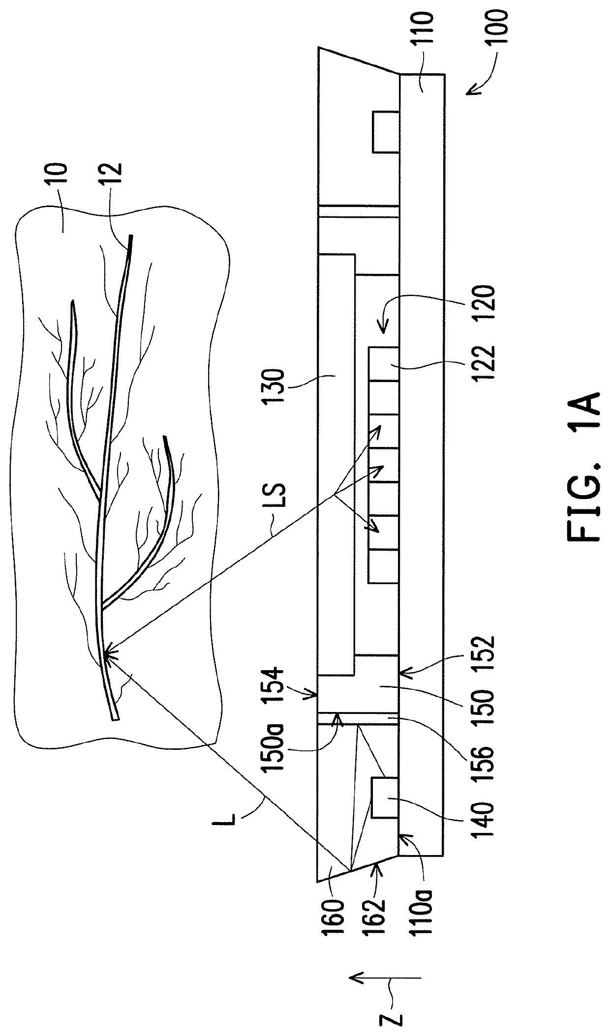 Biometric device and wearable carrier