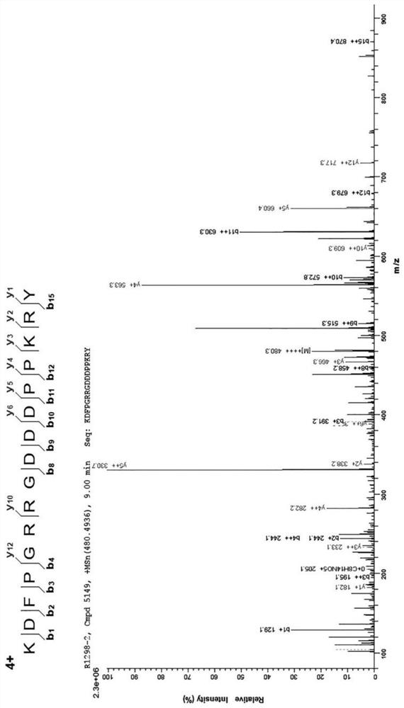 Cottonseed globulin positive charge antibacterial peptide and application thereof