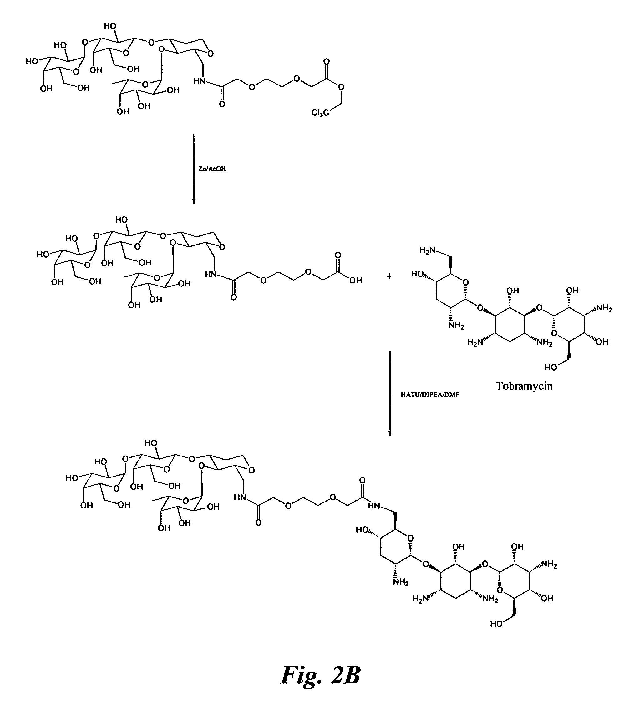 Glycomimetic inhibitors of the PA-IL lectin, PA-IIL lectin or both the lectins from Pseudomonas