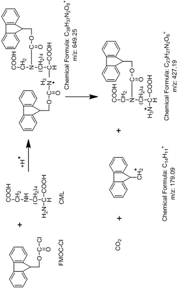 Detection method and application of carboxy methyl lysine ingredient in food