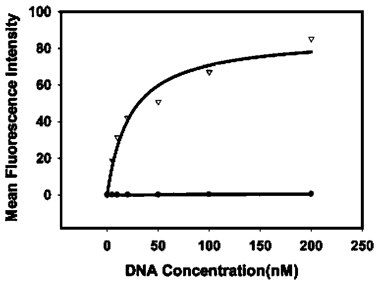 Aptamer EpCAM (epithelial cell adhesion molecule) D of EpCAM and preparation method thereof
