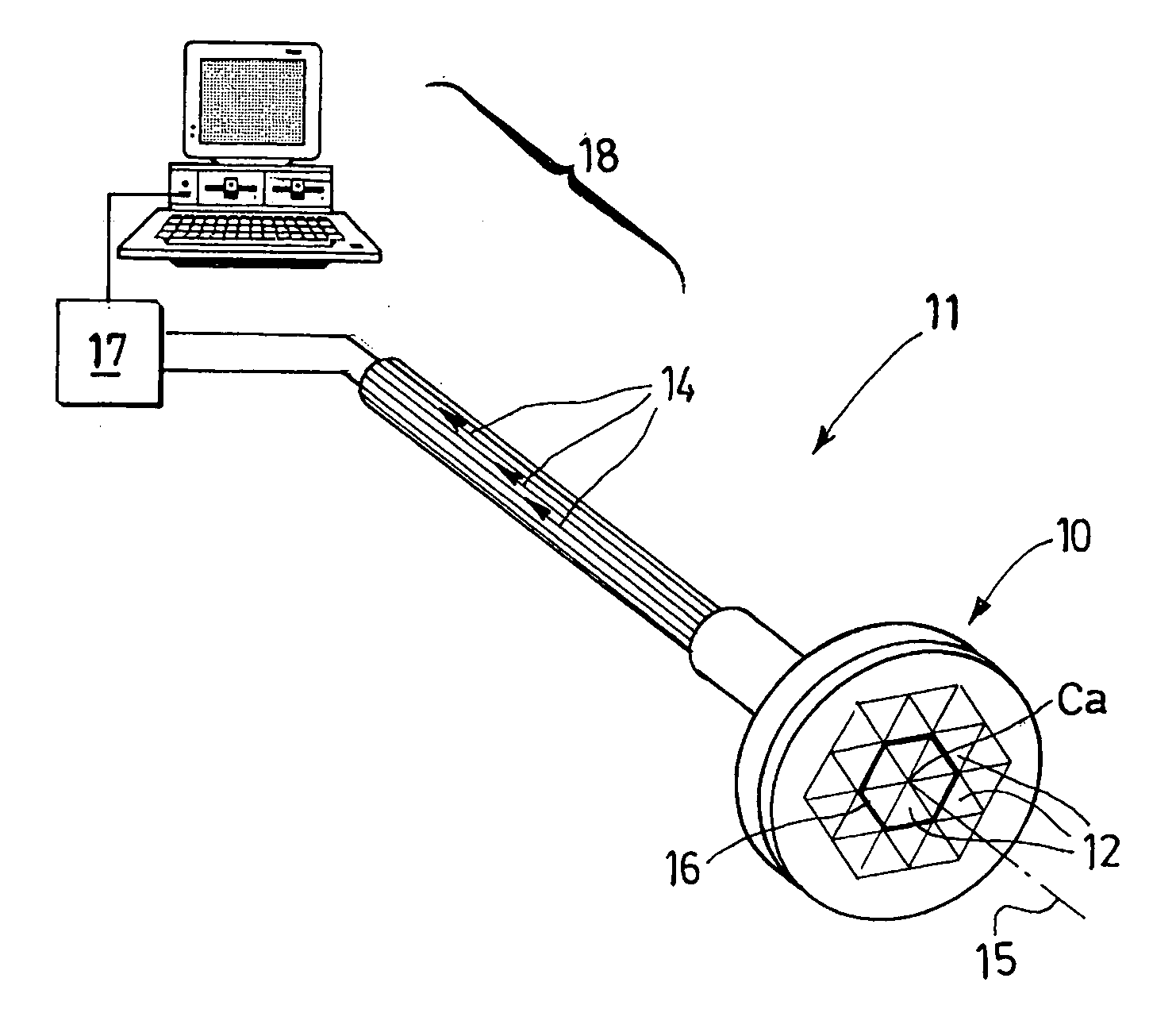 Method for measuring the viscoelastic properties of biological tissue employing an ultrasonic transducer