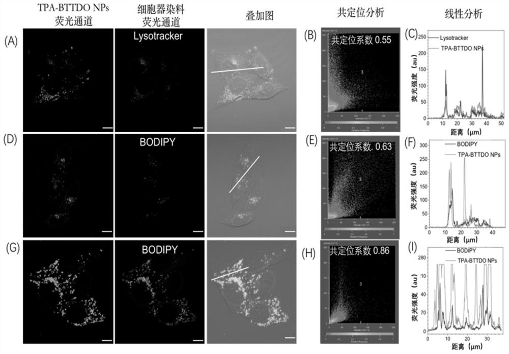 A Fluorescent Probe Based on Fused-epoxythiophene and Its Application in Cell Imaging