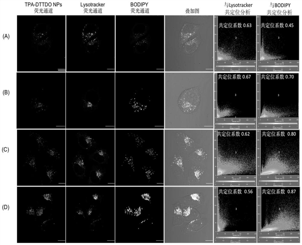 A Fluorescent Probe Based on Fused-epoxythiophene and Its Application in Cell Imaging