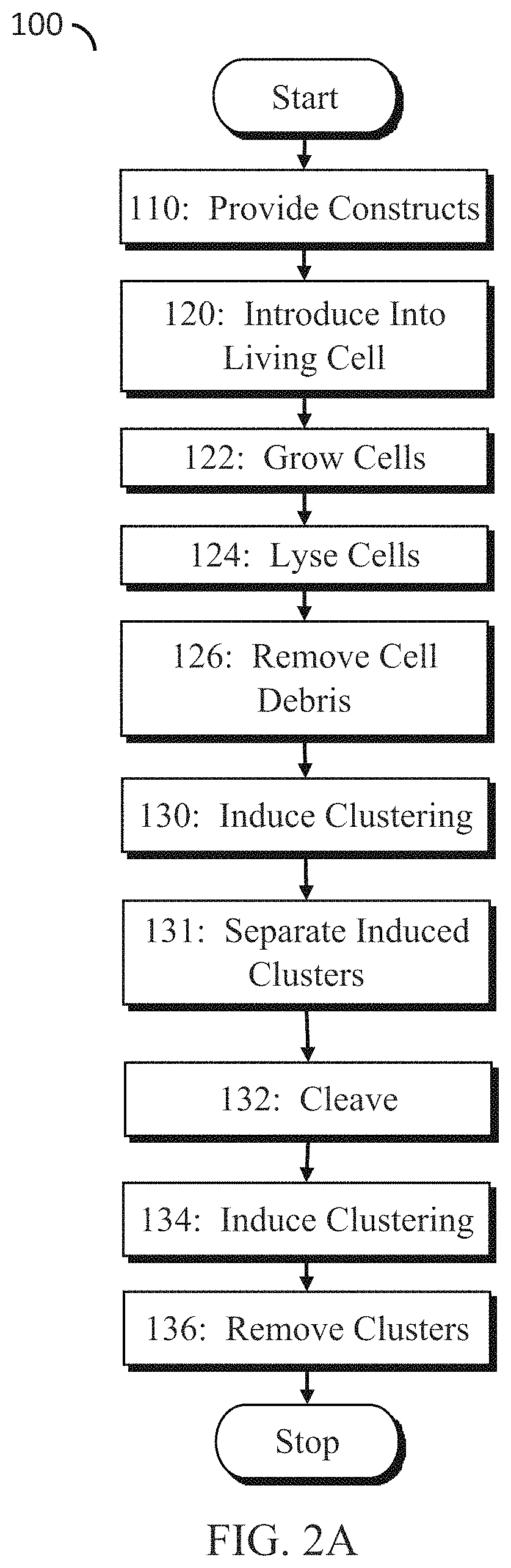 Disordered protein-based seeds for molecular clustering