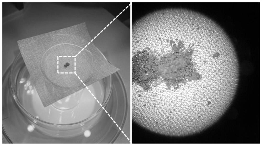 Lossless screening system for lunar dust particle sample and screening method of lossless screening system