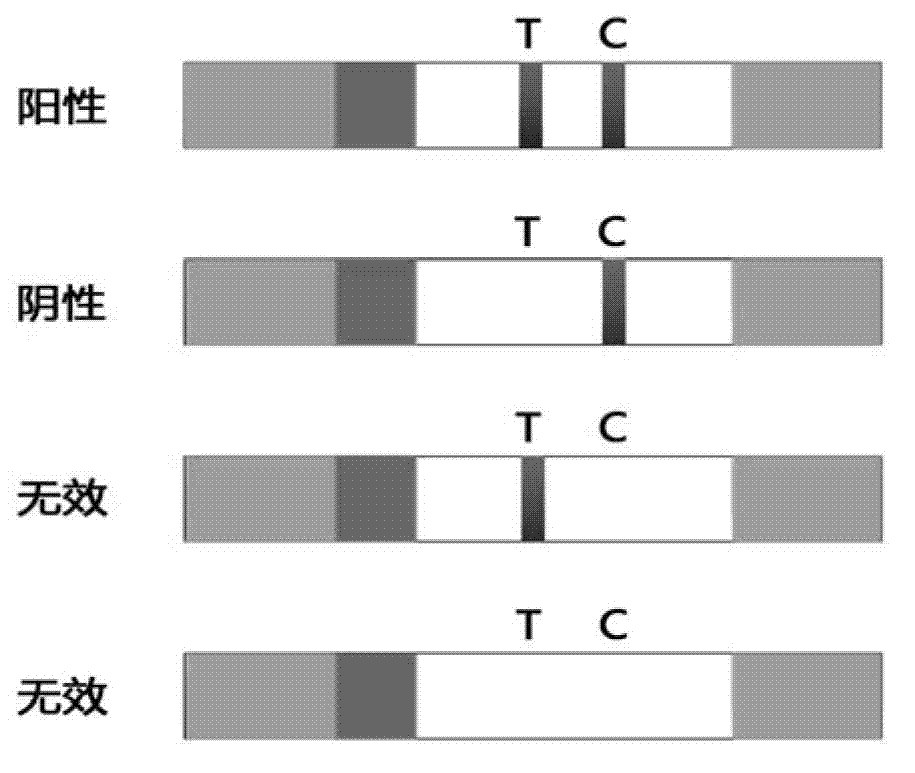Chromatographic detection kit based on aptamer, as well as preparation method and detection method thereof