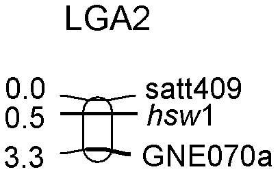 Method for assisting identification of 100-seed weight related loci of soybeand special primer thereof