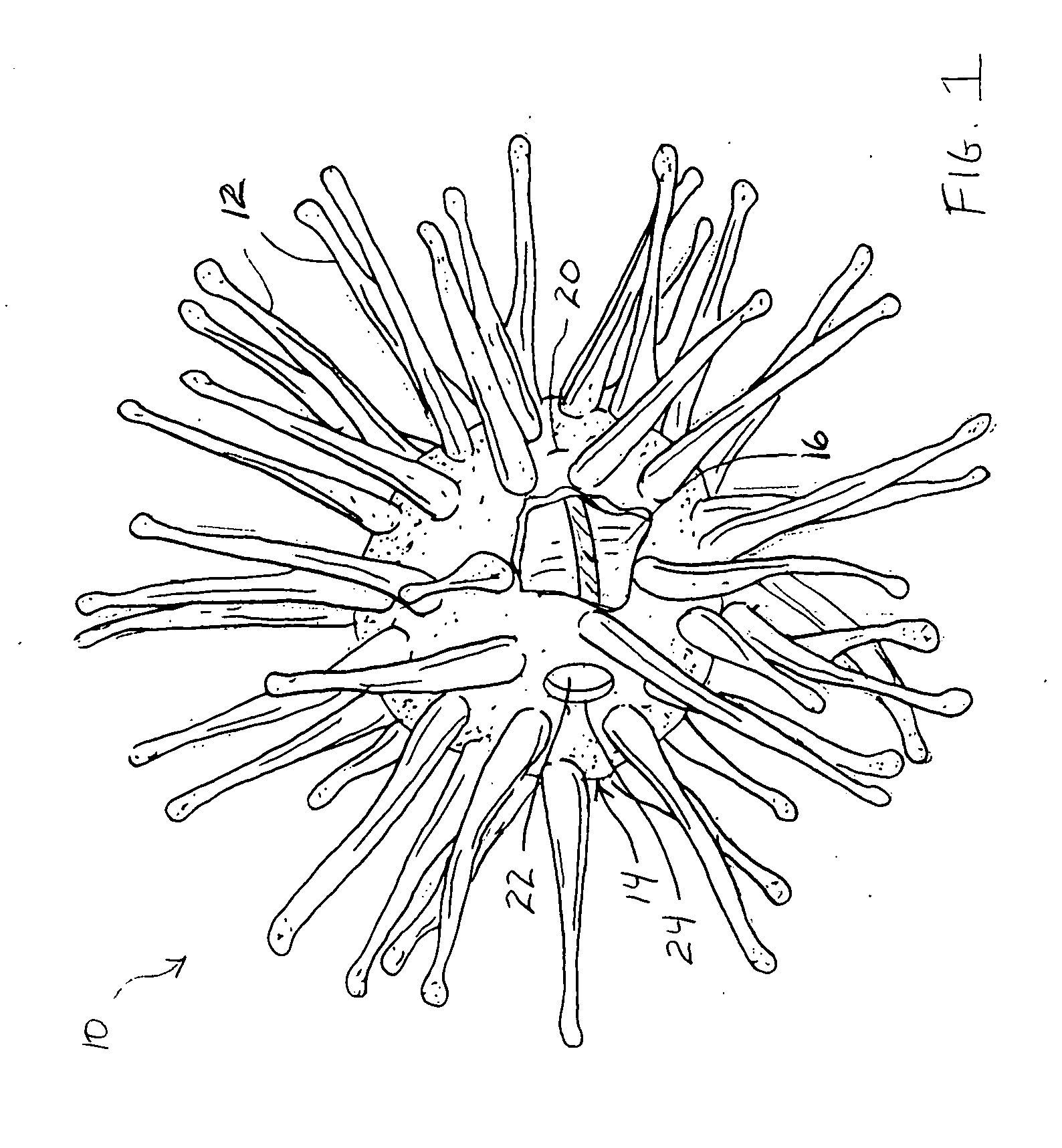 Internally illuminated elastomeric novelty device with external projections