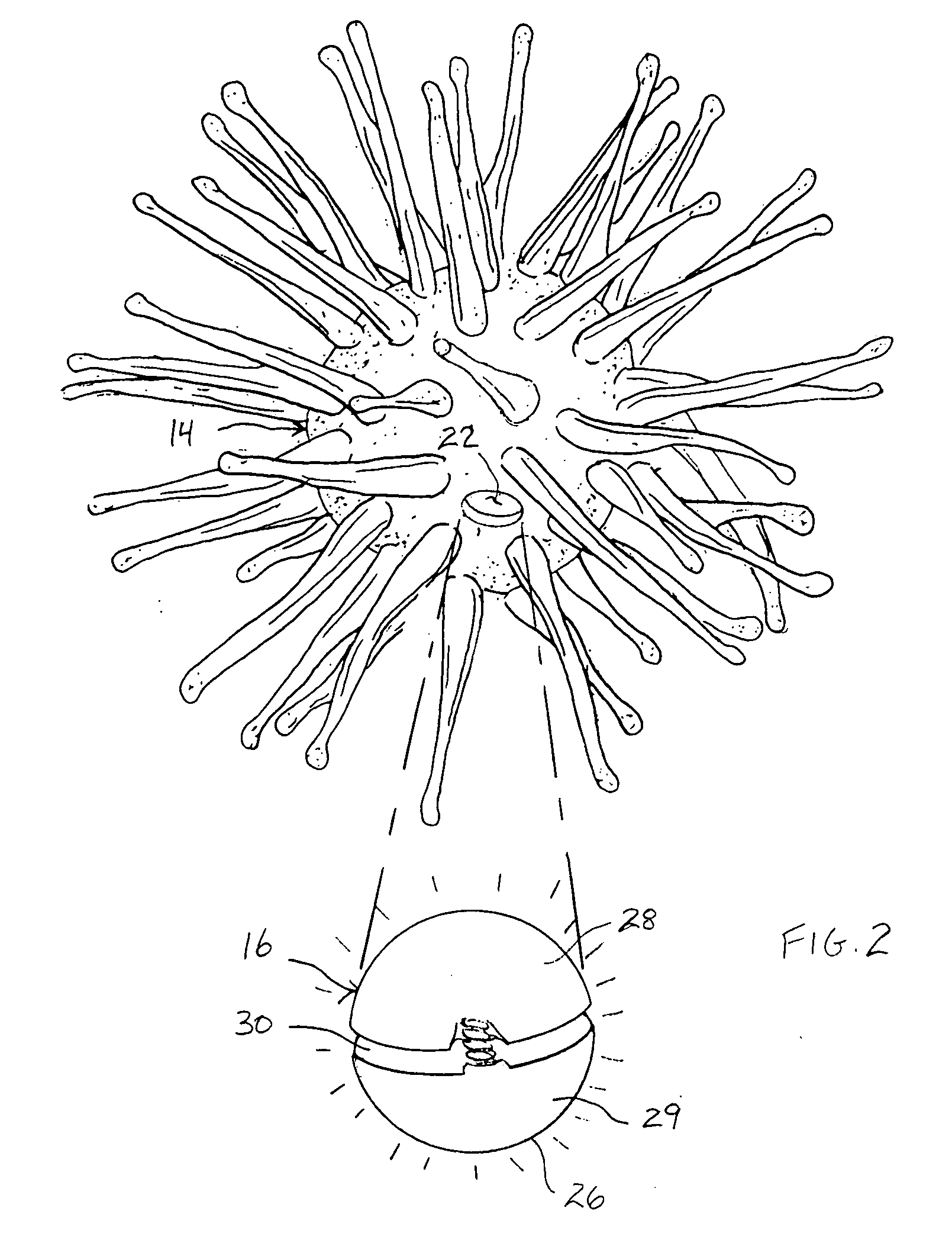 Internally illuminated elastomeric novelty device with external projections