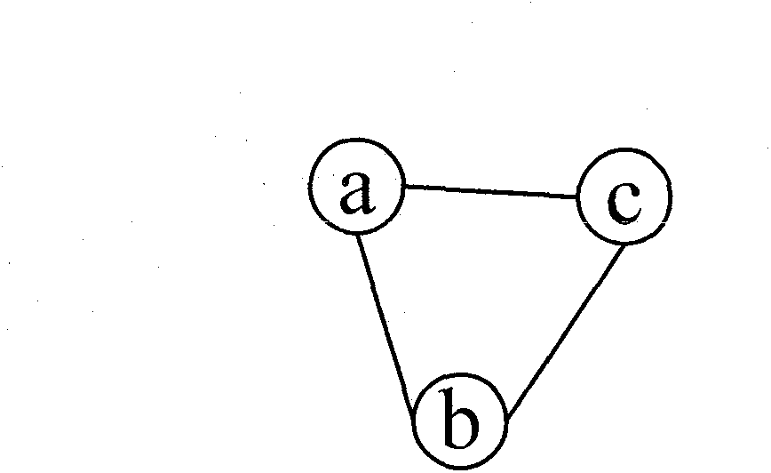 Method for realizing virtual network mapping