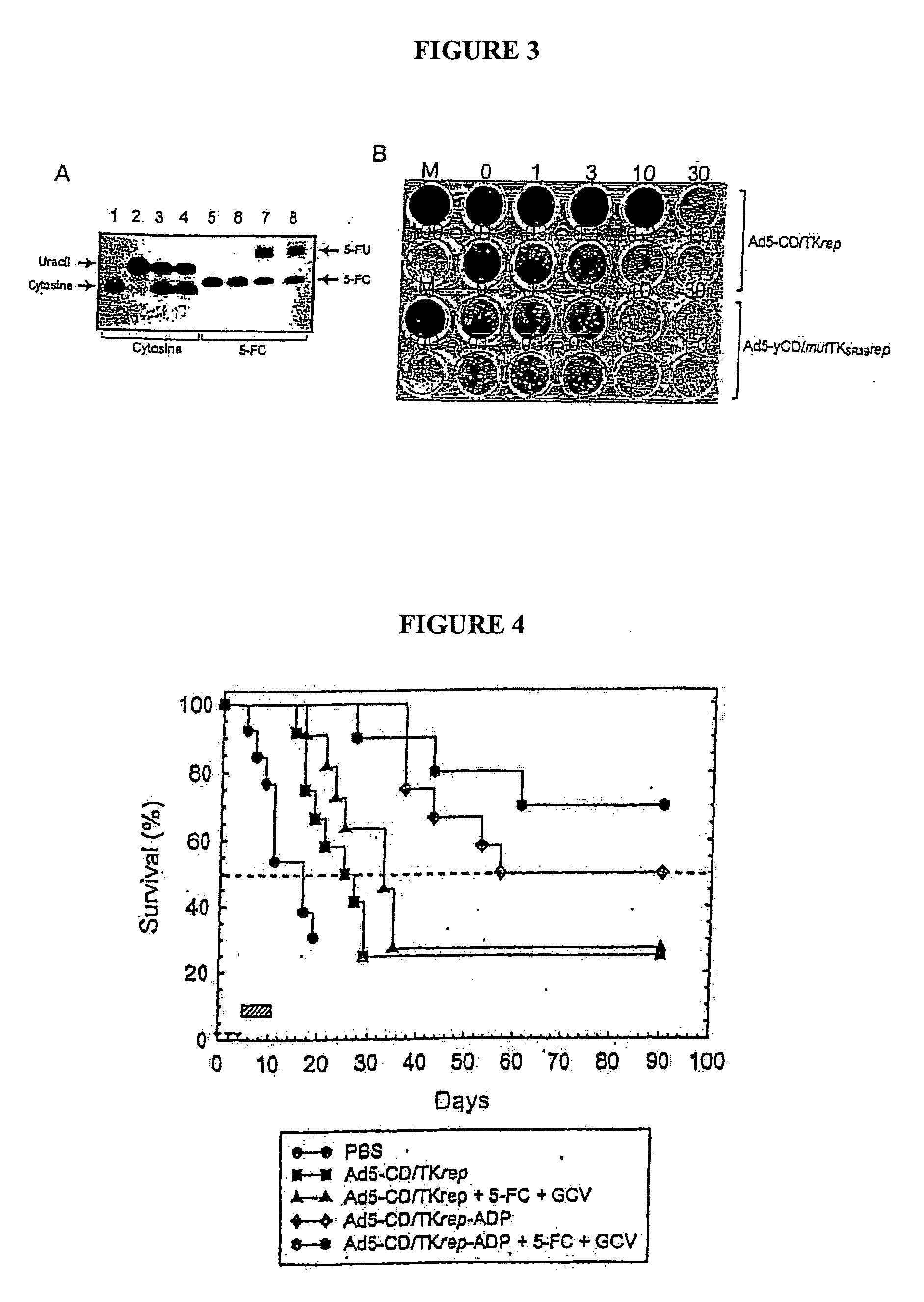 Methods and compositions for cancer therapy using a novel adenovirus