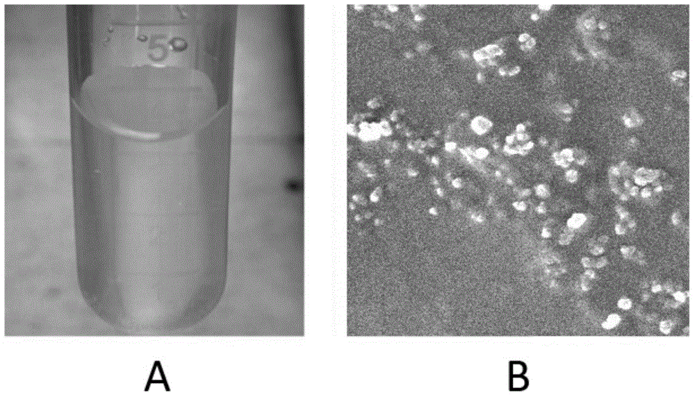 Nano-scale delivery system loading two surfactants and having anti-tumor drug resistance and preparation method of nano-scale delivery system