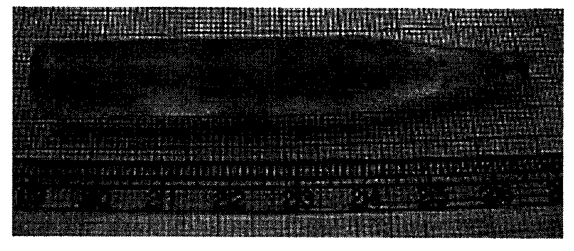 Method for growing zinc bismuth borate monocrystal through zone melting method