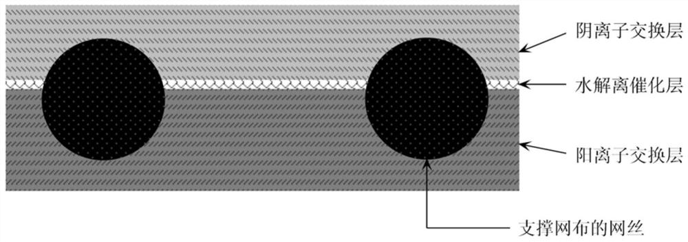 A monolithic bipolar film roll with mesh support and its manufacturing method