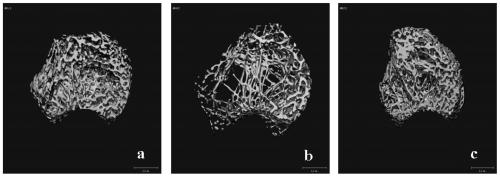 Composition with the effect of increasing bone density, its preparation method and application