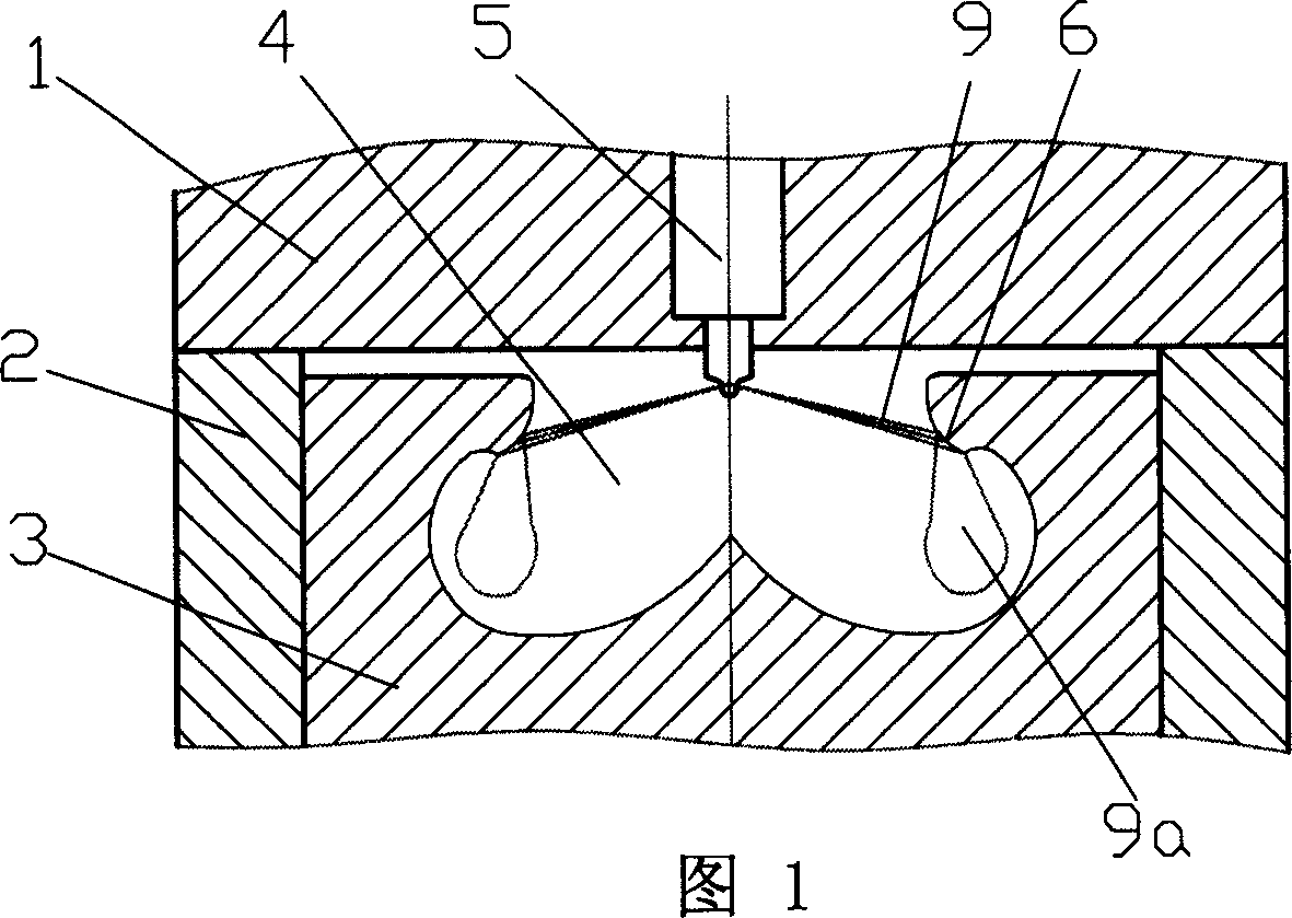 Spraying and diffusing combustion system of IC engine