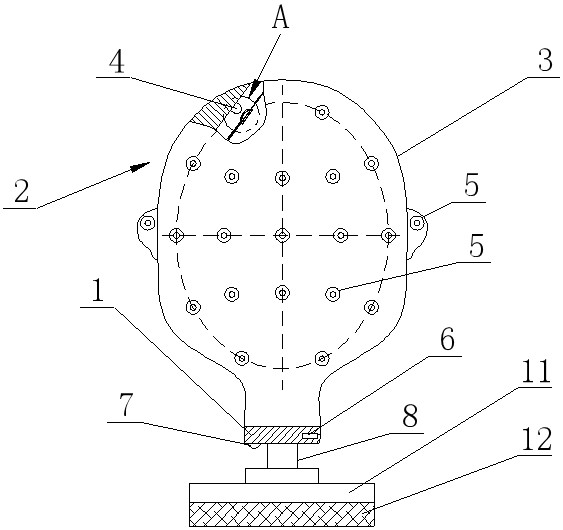 Electroencephalogram installation teaching model