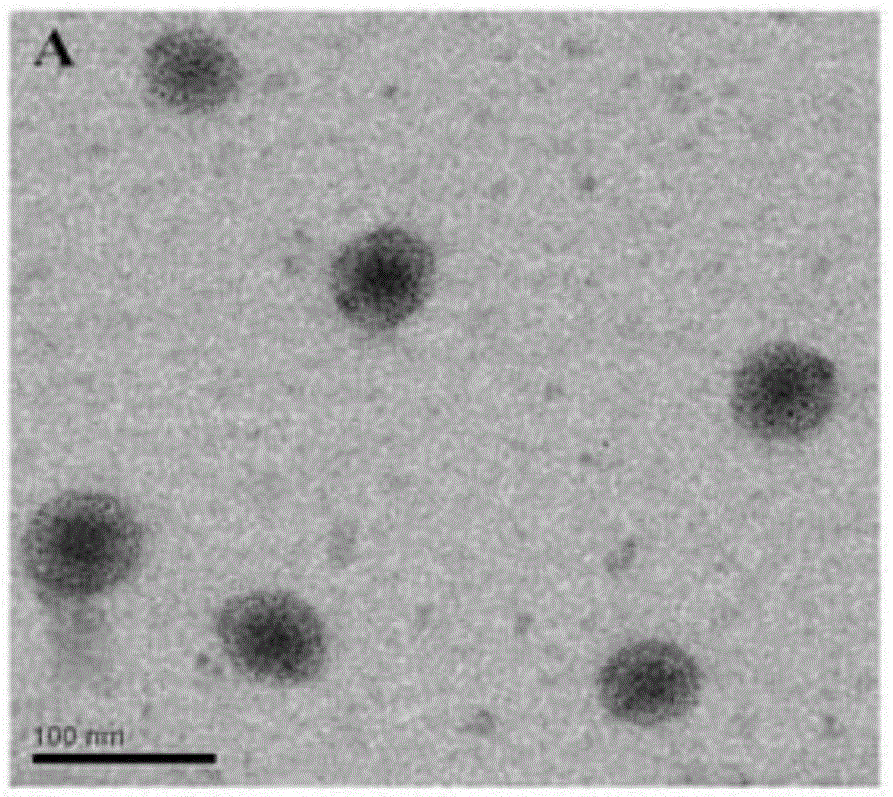 A dendritic polymer drug delivery system with high tumor recognition and environment-responsive drug release capabilities and its construction method