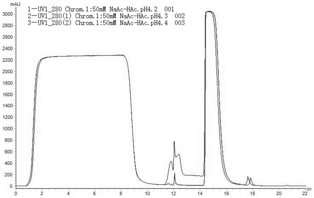 An affinity purification process for removing host cell protein content