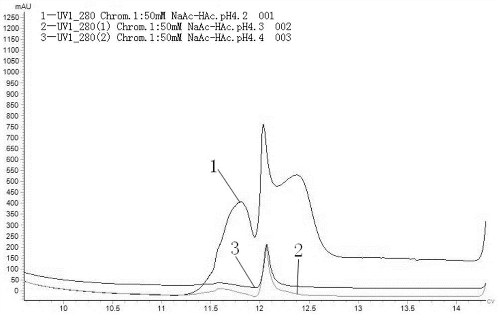 An affinity purification process for removing host cell protein content