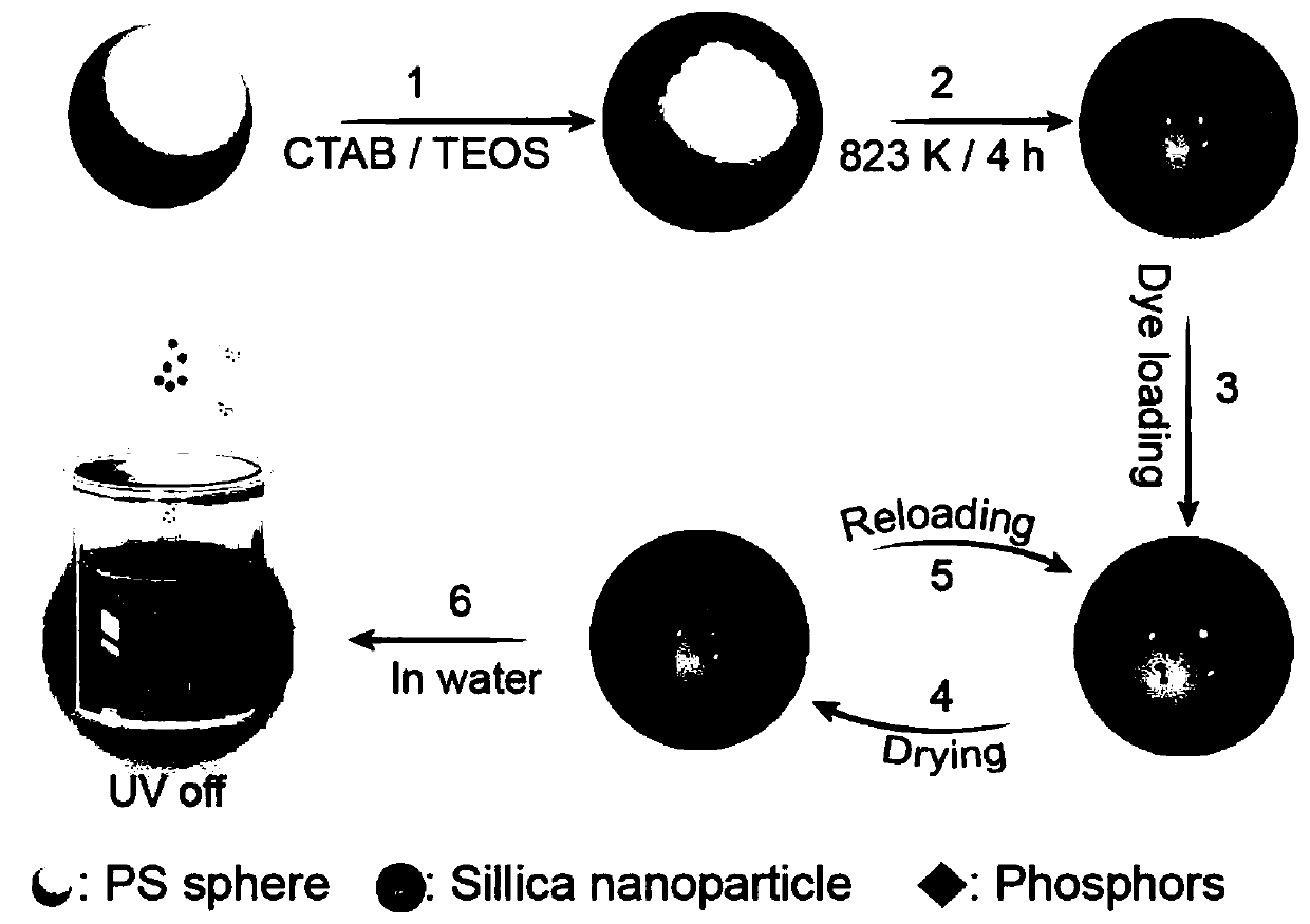 Preparation method of organic phosphor-supported hollow mesoporous SiO2 hydrophilic phosphorescent nanoprobe