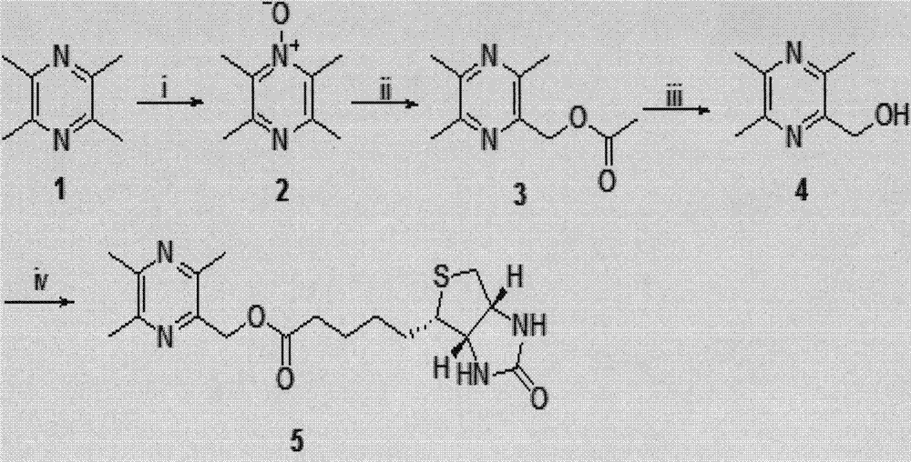 Biotin labeled ligustrazine and preparation method thereof