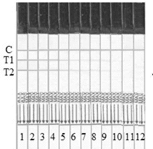 Cyromazine and melamine residue dual detection rapid detection test strip and preparation method thereof
