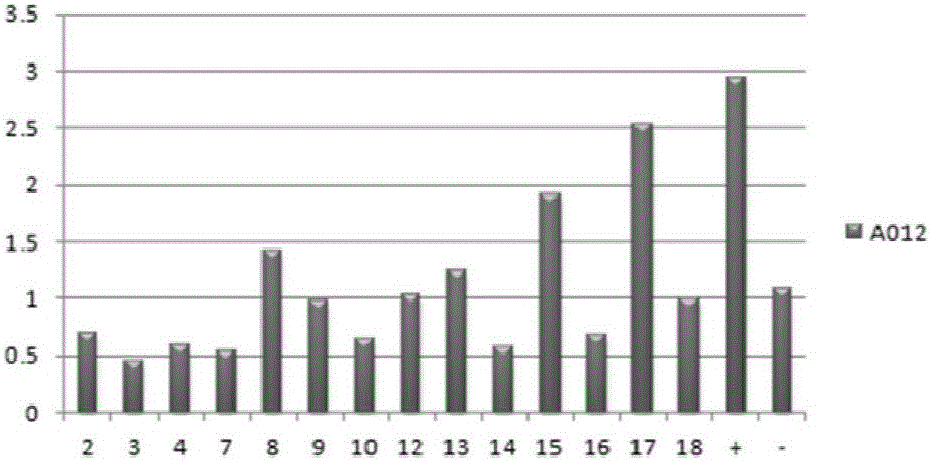 Novel EB (Epstein-Barr) virus EBNA1 epitope peptide and application thereof in diagnosis, treatment and prevention of EBV related diseases