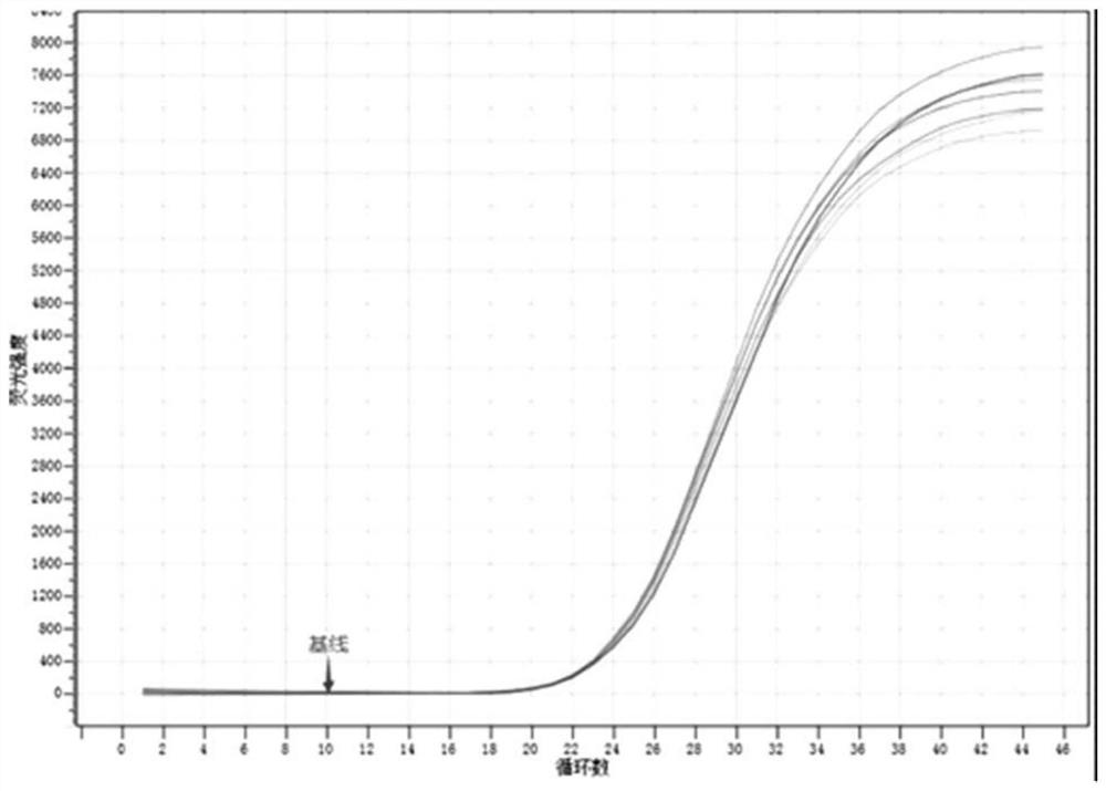 A kit and method for efficient and rapid detection and quantification of serum or plasma nucleic acid