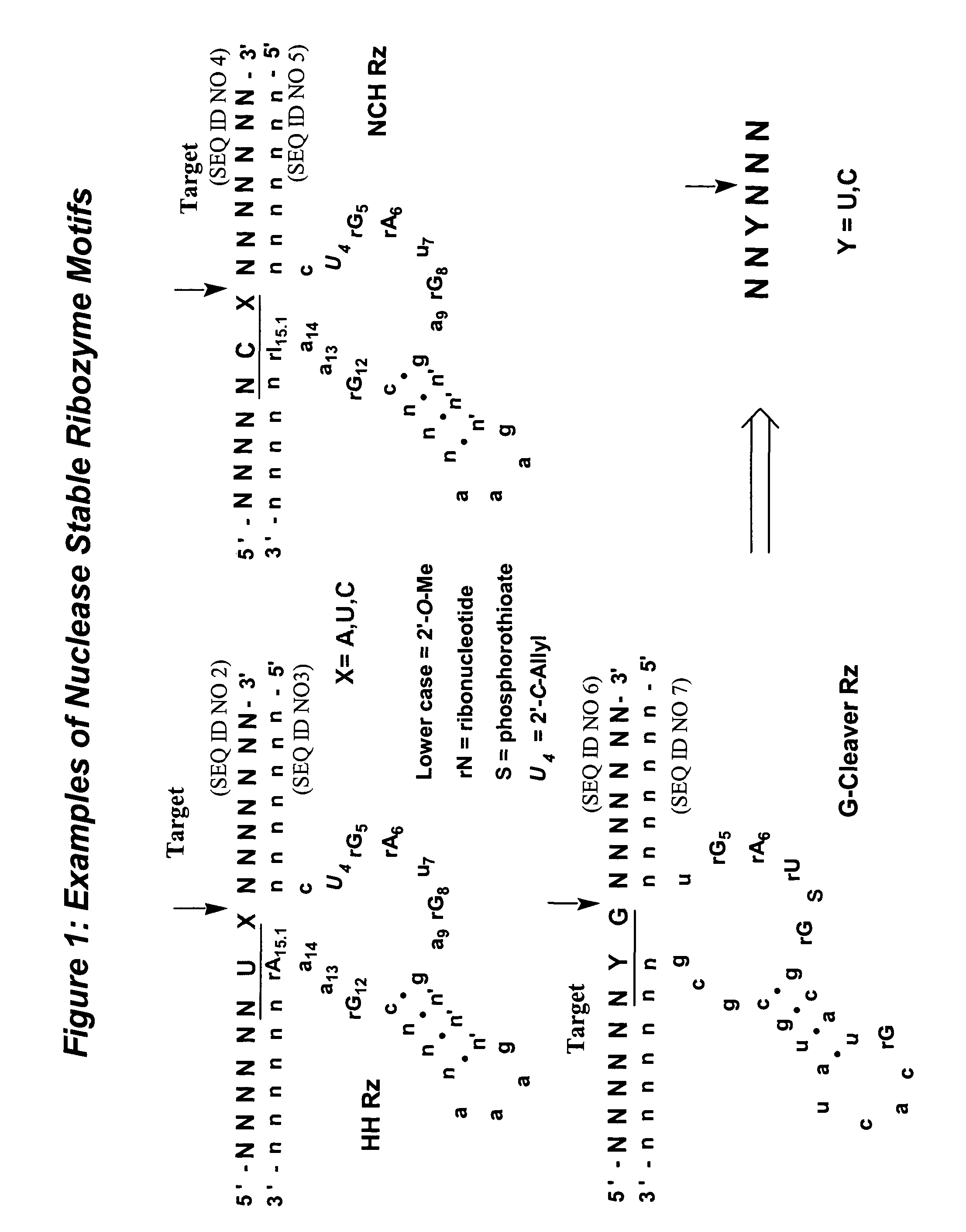 Conjugates and compositions for cellular delivery