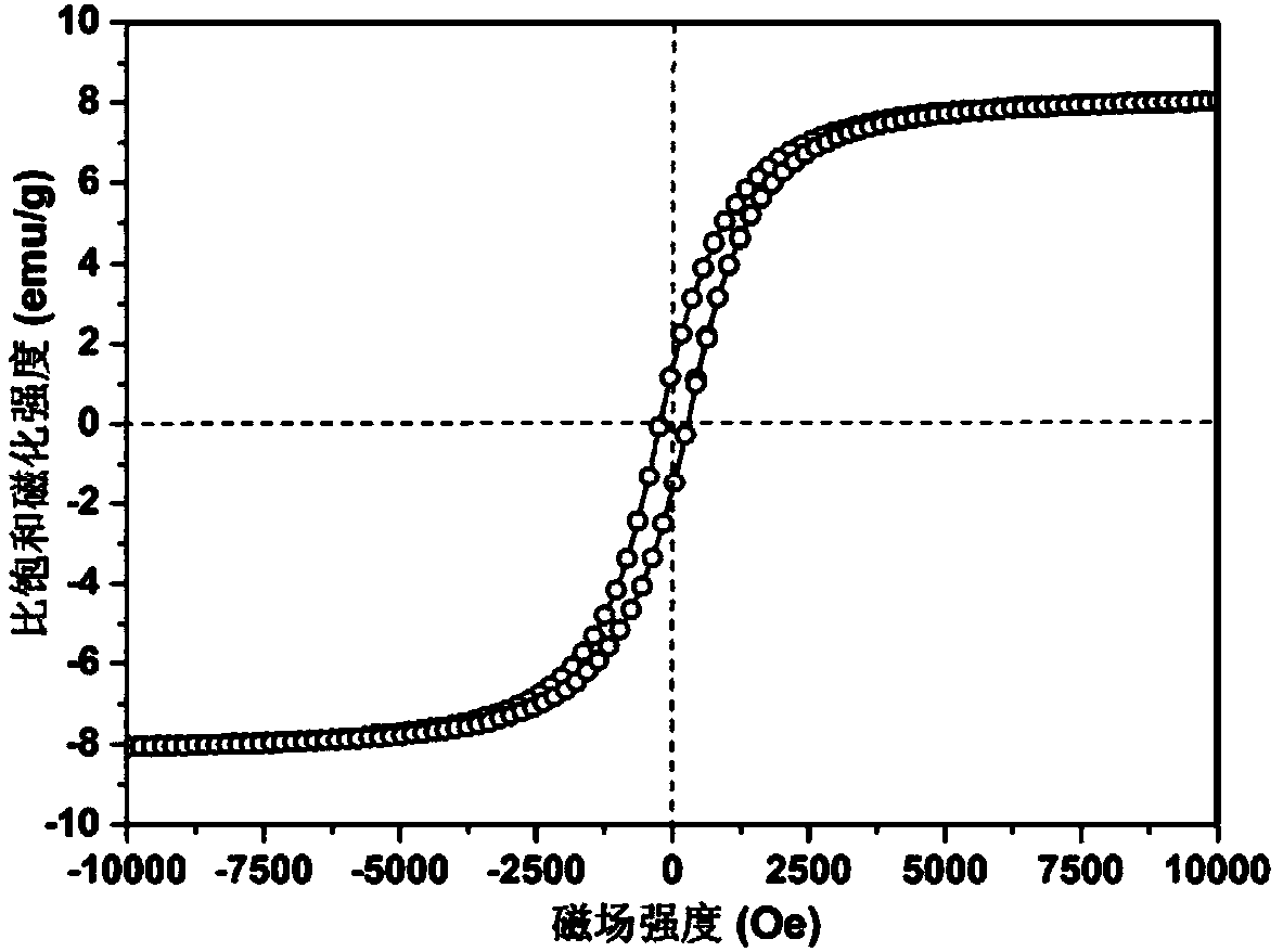 Hydrophilic magnetic strong base anion exchange micro-sphere resin and preparation method thereof