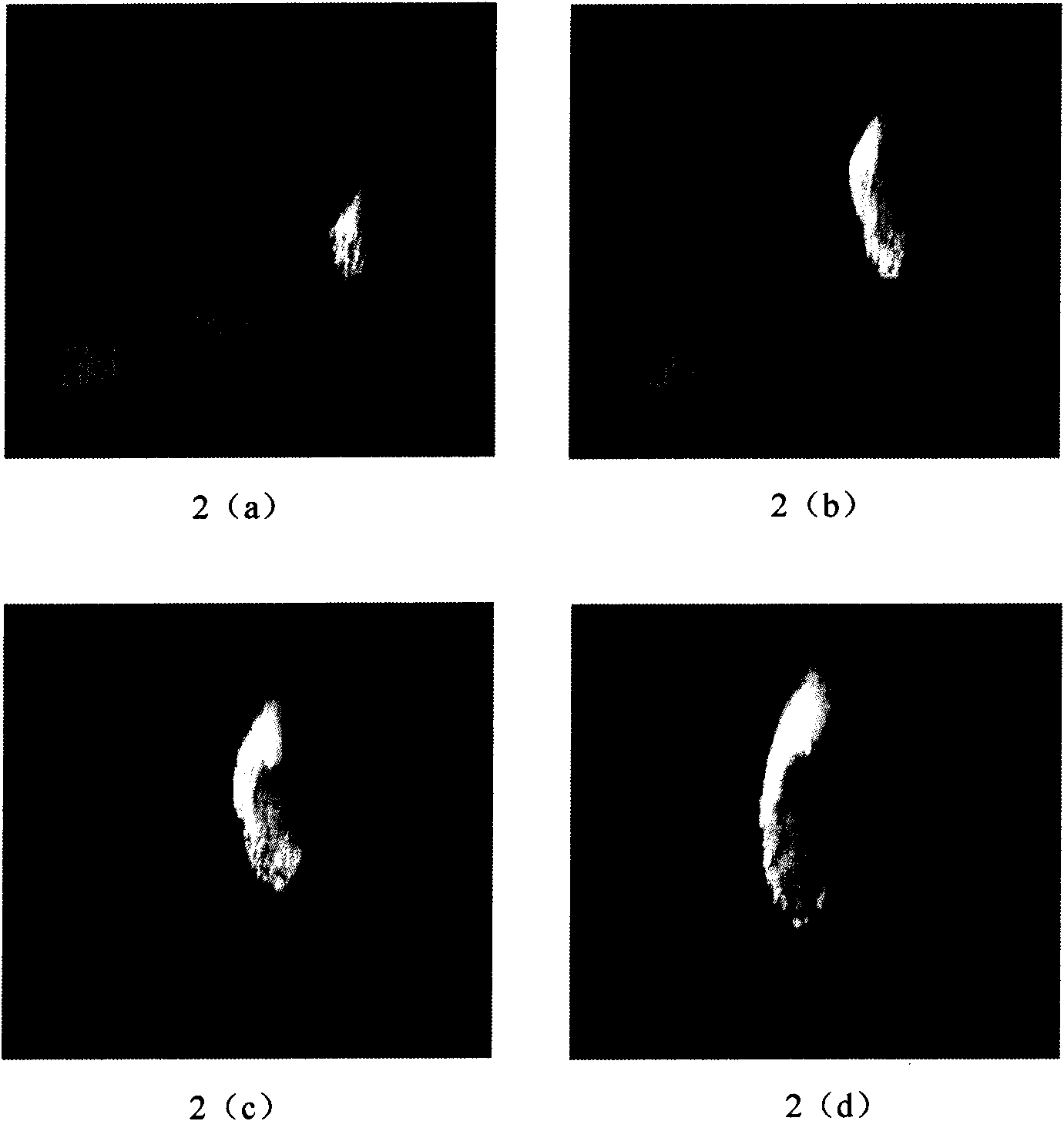 Object interactive combustion simulation method based on physics