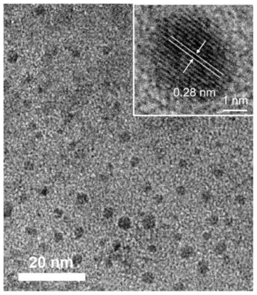 A kind of nitrogen-doped graphene quantum dot and its preparation and application of detecting hydrogen peroxide