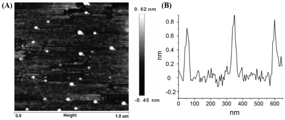 A kind of nitrogen-doped graphene quantum dot and its preparation and application of detecting hydrogen peroxide