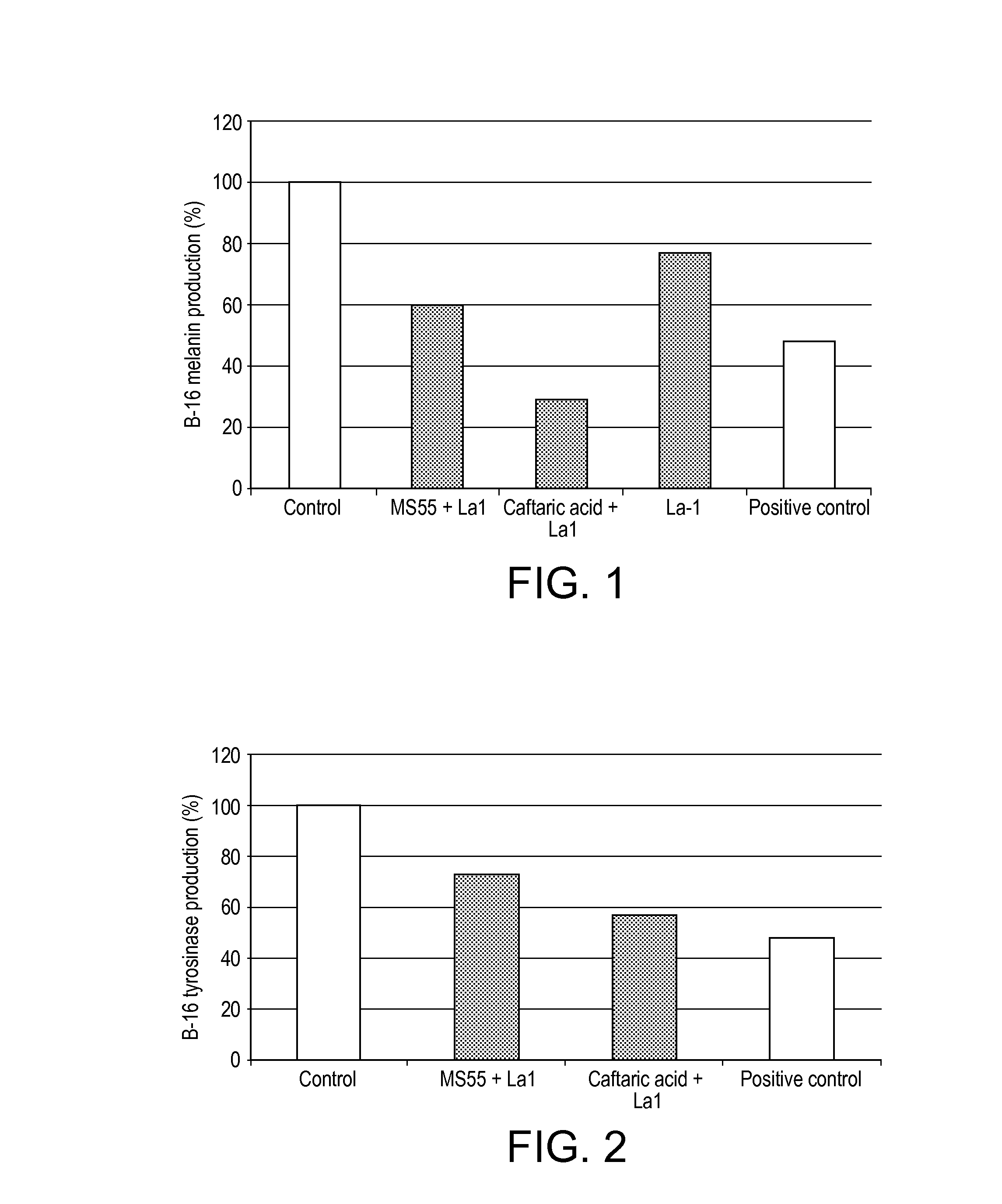 Use of caftaric acid and lactic bacterium in food supplement for regulating skin pigmentation