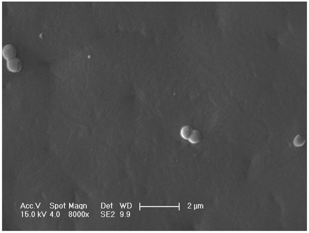 Antibacterial coating with bacterial enzyme response function, functional material with antibacterial coating and preparation method of functional material