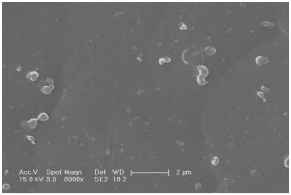 Antibacterial coating with bacterial enzyme response function, functional material with antibacterial coating and preparation method of functional material