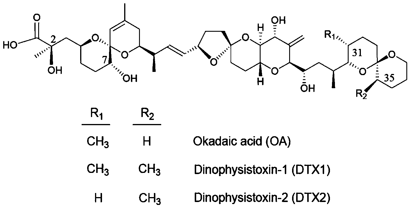 Diarrhetic shellfish poison standard sample as well as preparation method and application thereof