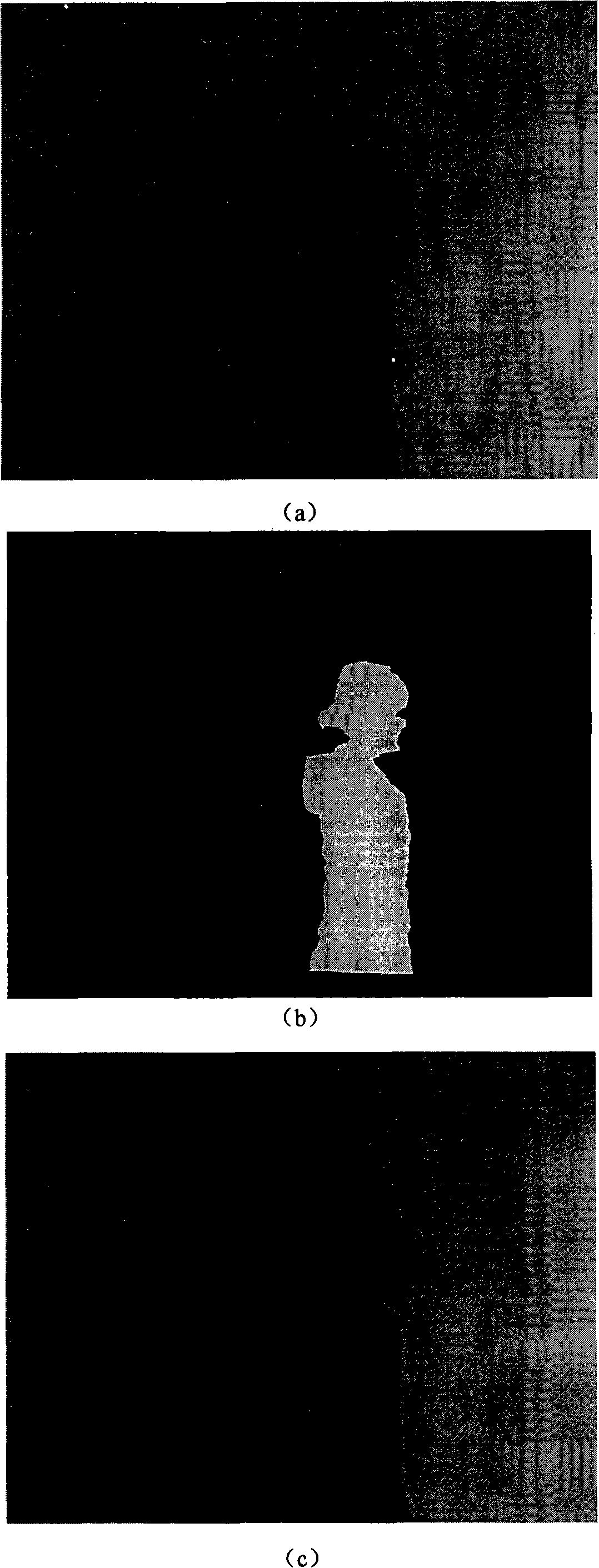 Method for converting flat video to tridimensional video based on bidirectional tracing and characteristic points correction
