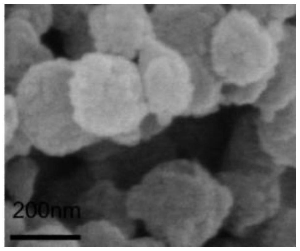 Preparation method of polyester large biological fiber containing Yucca schidigera active ingredients