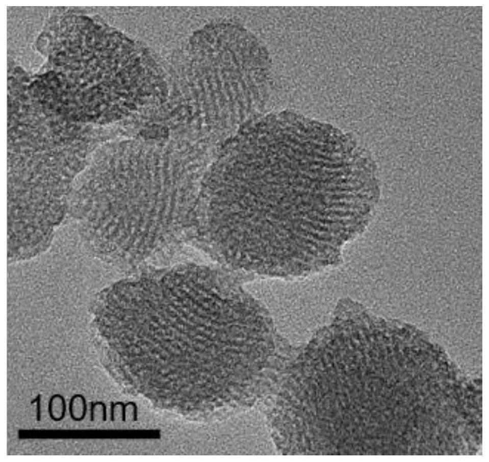 Preparation method of polyester large biological fiber containing Yucca schidigera active ingredients