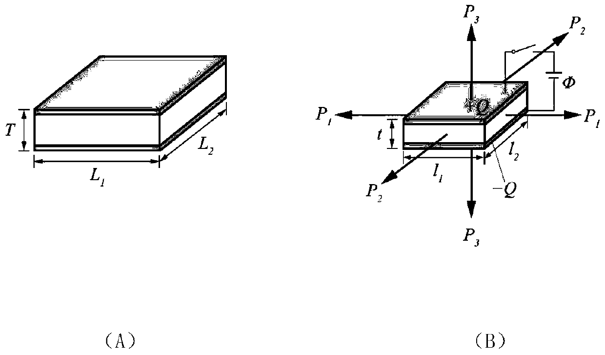 Electromechanical response estimation method of novel electroactive polymer