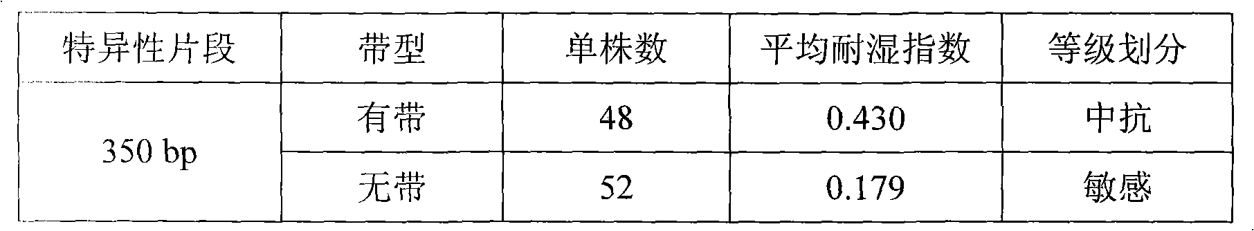 Molecular marker closely related to rape humidity resistance, preparation method and application thereof