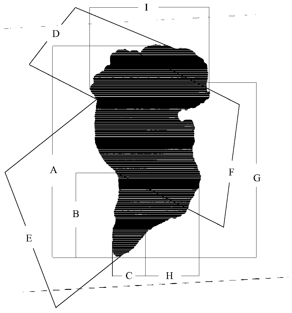 Method for measuring age and individual growth size of sthenoteuthis oualaniensis on basis of external form of otolith