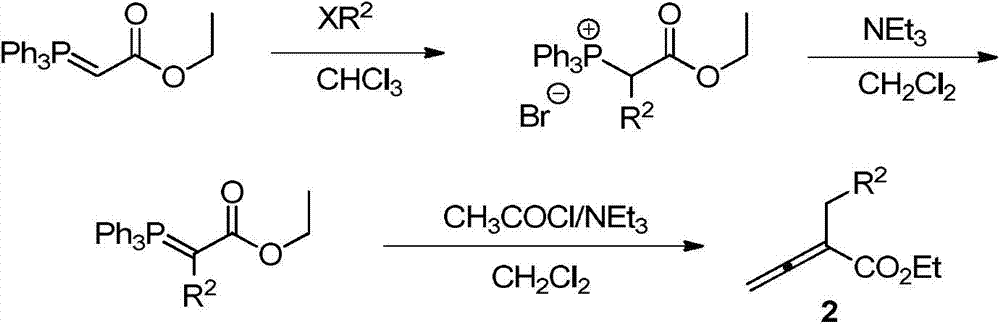 A kind of phthalazinopyrrole compound and preparation method thereof