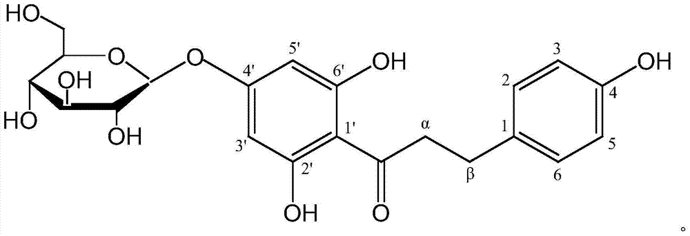 A method for isolating a large amount of natural sweetener trilobatin