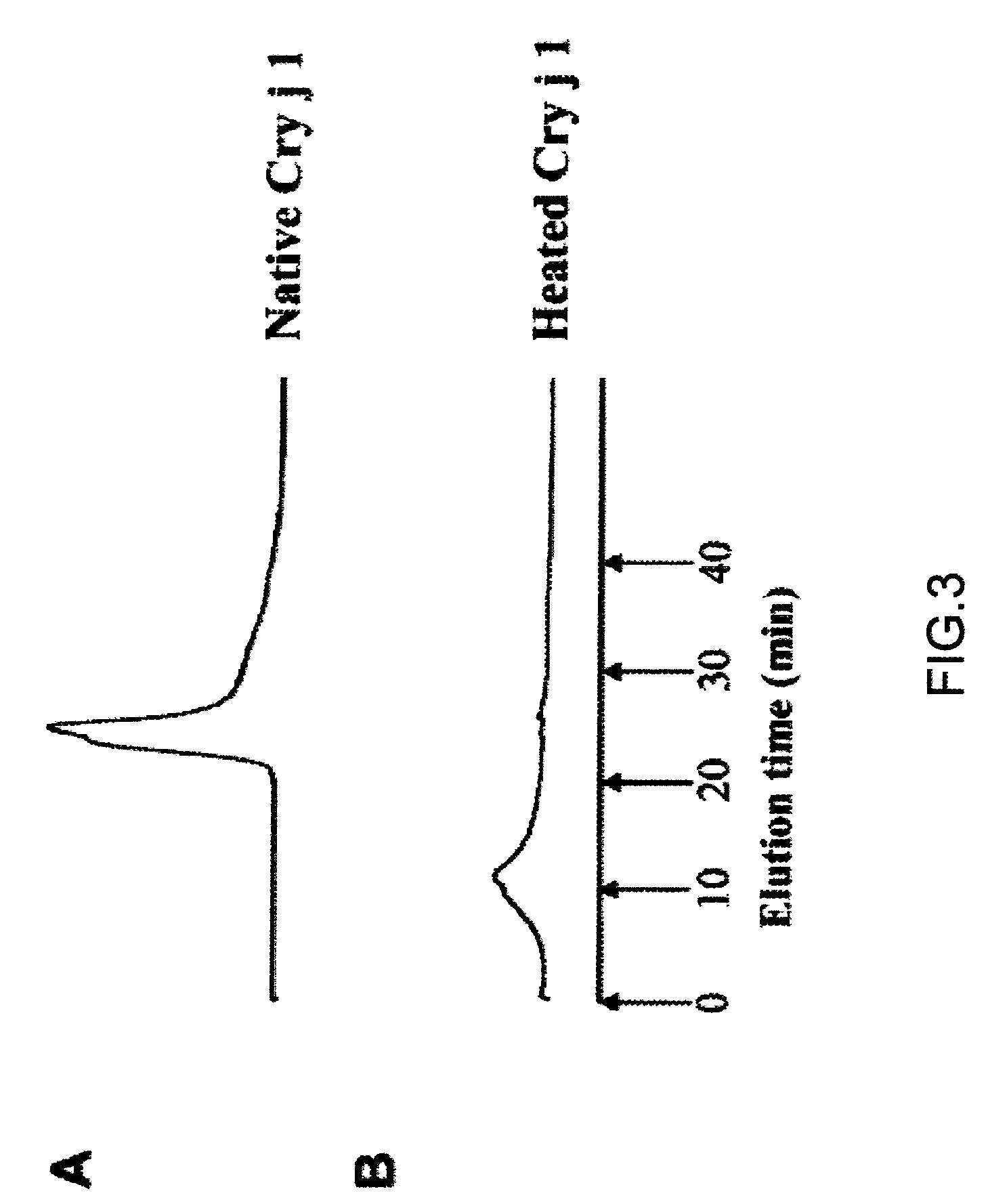 Soluble aggregate, immune tolerance inducer and manufacturing method thereof