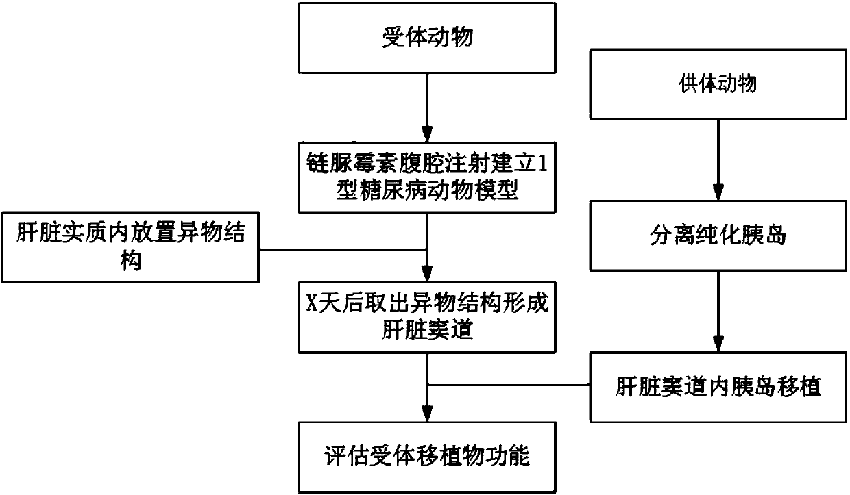 Islet transplantation method